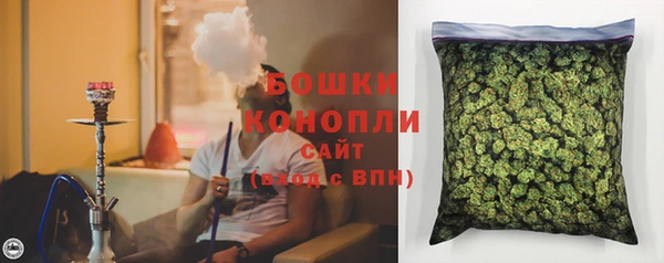 apvp Ельня