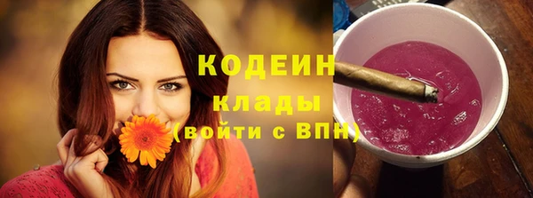 apvp Ельня