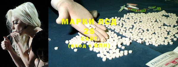 apvp Ельня